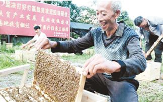 艰苦创业二十载酿得甜蜜香四邻——记贵州省铜仁市思南县颐蜂园农业有限责任公司董事长何承霖
